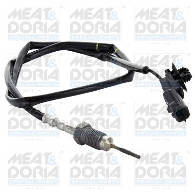 Sensor, exhaust gas temperature